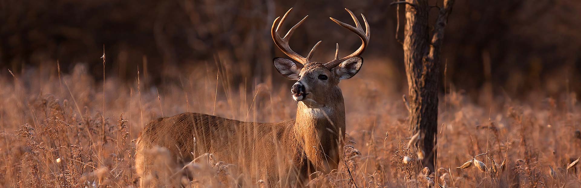 About Northwest Missouri Bucks & Beards Outfitters